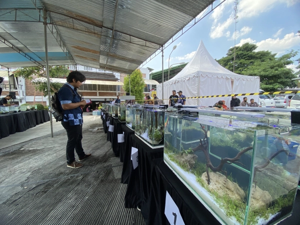 The Wonderful of Aquaculture: Wadah Kreativitas Pecinta Ikan Hias